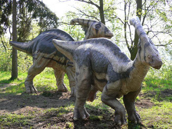 产品名称:副龙栉龙 parasaurolophus 身高 height: 约3公尺    身长